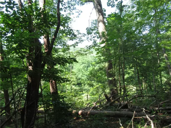 Pickens, SC 29671,205 Gauley Falls RD