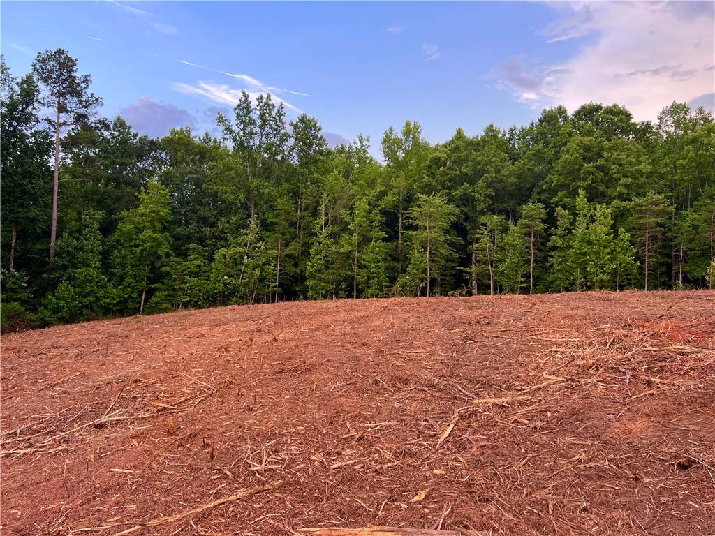 Pendleton, SC 29670,Lot 4 Pickens DR