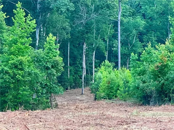 Pendleton, SC 29670,Lot 4 Pickens DR
