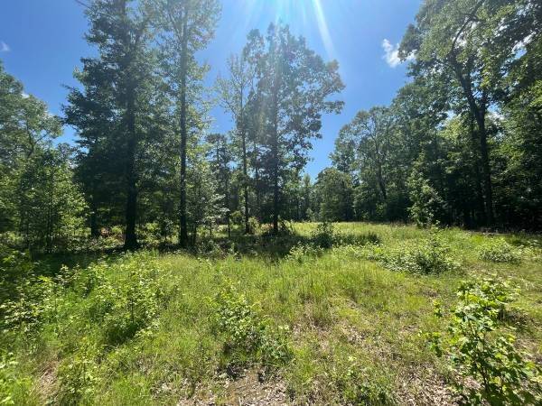 Belton, SC 29627,195 Treasure LN