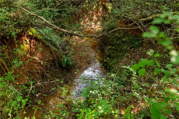 Taylors, SC 29687,7004 Mountain View RD