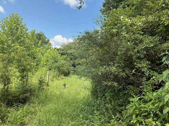 Marietta, SC 29661,0000 Freeman Bridge RD