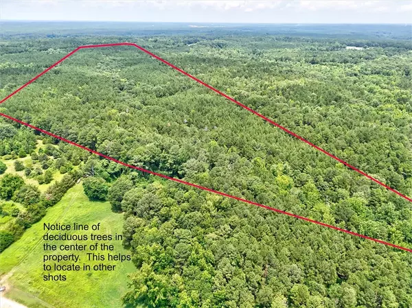 Elberton, GA 30635,00 Lexington HWY