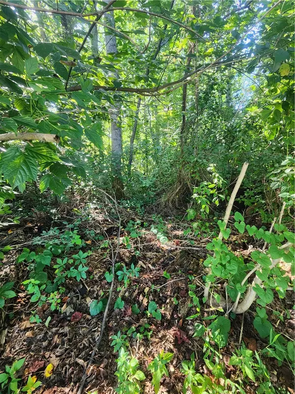 Easley, SC 29642,103 & 493 Quail Haven & Odom Road DR