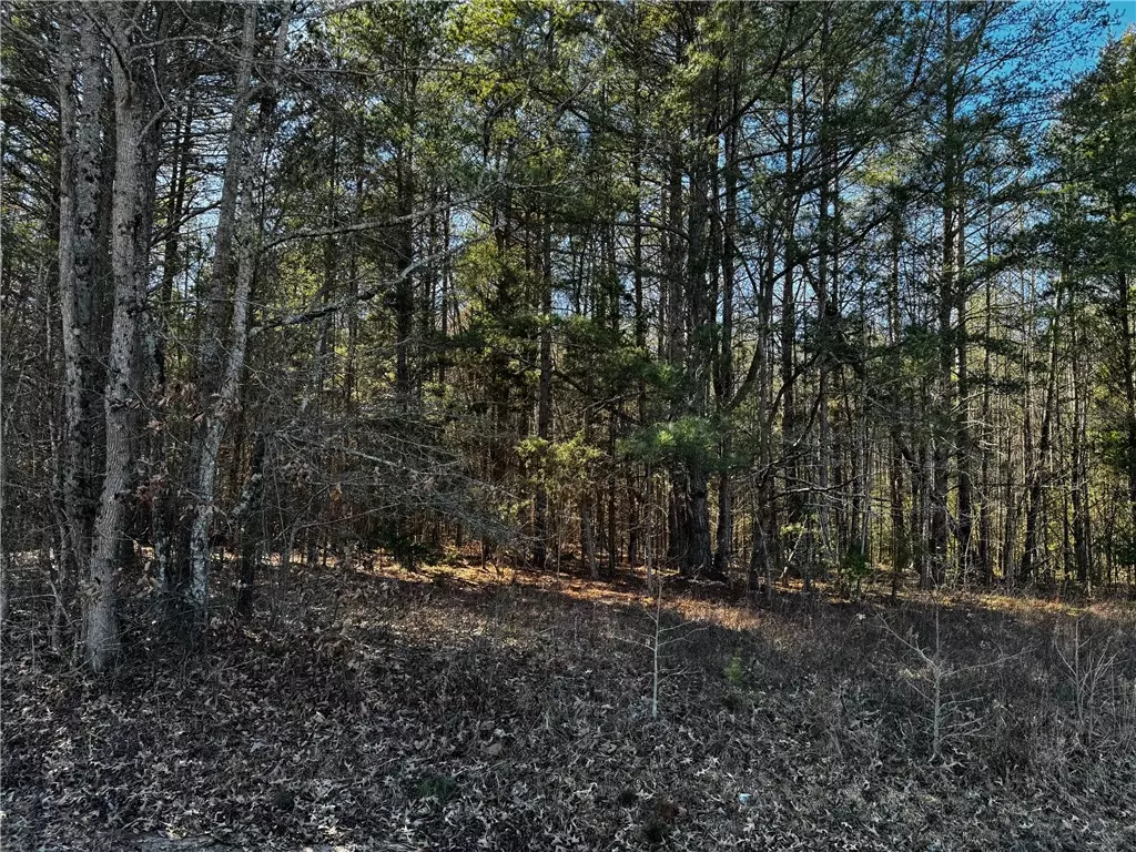 Belton, SC 29627,TR 4 Corner RD