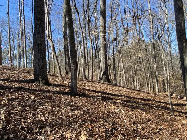 Lavonia, GA 30553,Lot 28 Knottywood DR