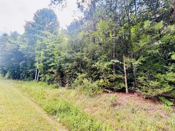 Abbeville, SC 29620,00 Old Douglas Mill RD