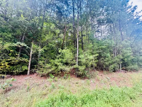 Abbeville, SC 29620,00 Old Douglas Mill RD