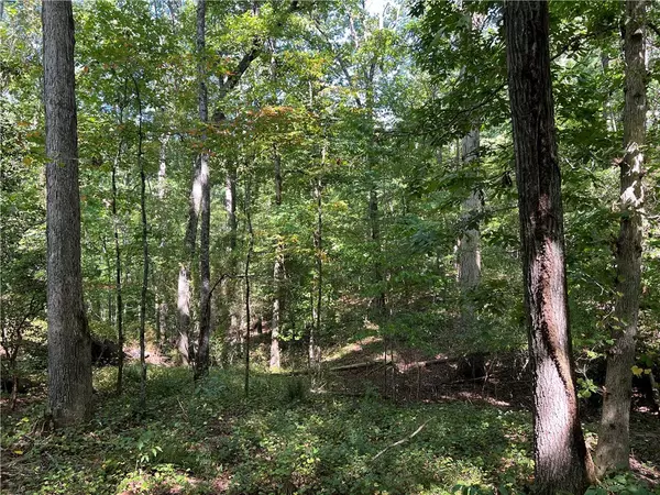 Central, SC 29630,235 Old Henderson RD
