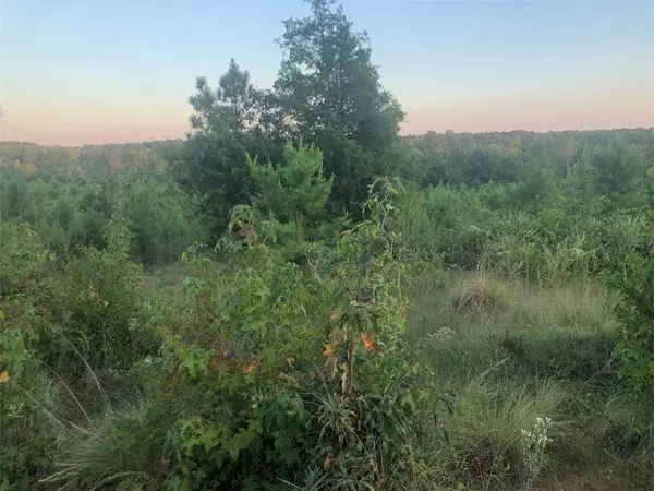Abbeville, SC 29620,0000 LAKE SECESSION RD