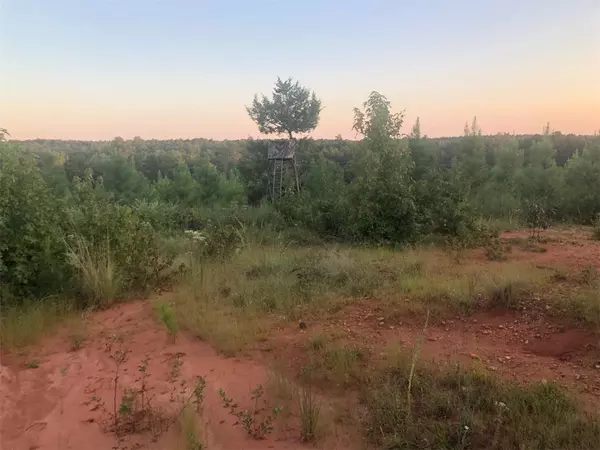 Abbeville, SC 29620,0000 LAKE SECESSION RD