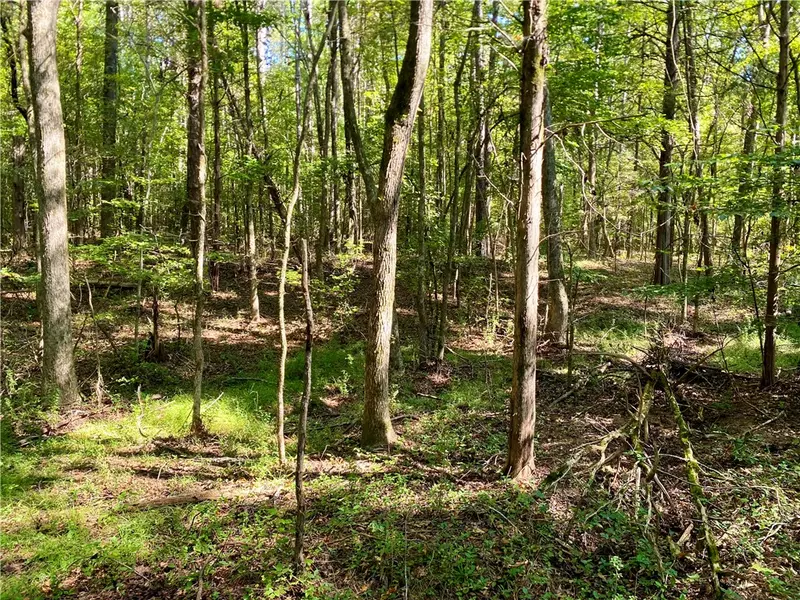 00 Horse Farm RD, Iva, SC 29655