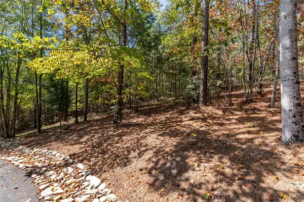 Six Mile, SC 29682,Lot 28 Spring Cove WAY