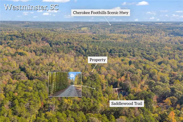 Westminster, SC 29693,203 SADDLEWOOD TRL