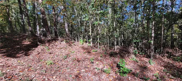 Westminster, SC 29693,00 Marietta DR