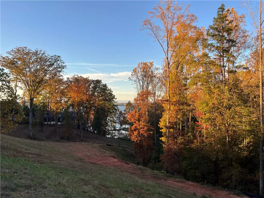 Seneca, SC 29672,Lot 4 Marina Bay DR