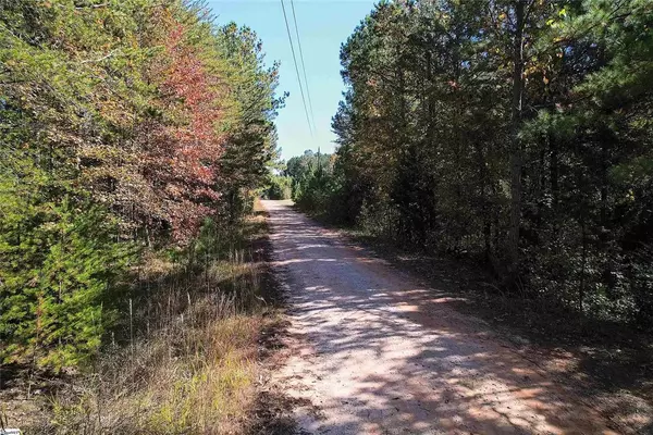 Gray Court, SC 29645,1206 Cheeks CIR