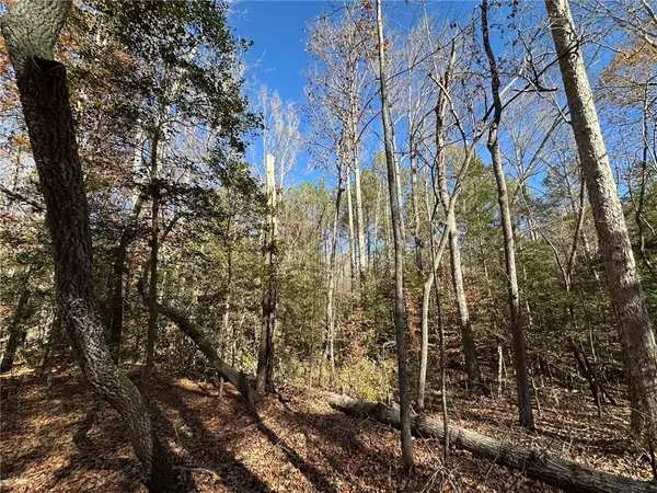 Pelzer, SC 29669,110 Watt Rogers RD