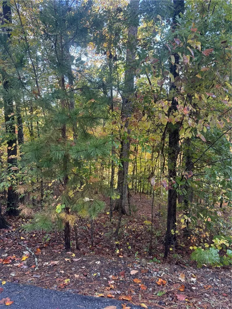 Salem, SC 29676,42 Channel LN