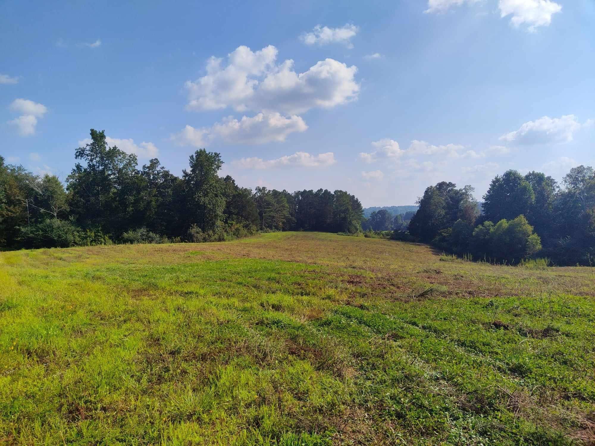 Parsons, TN 38363,00 Lindsey Rd