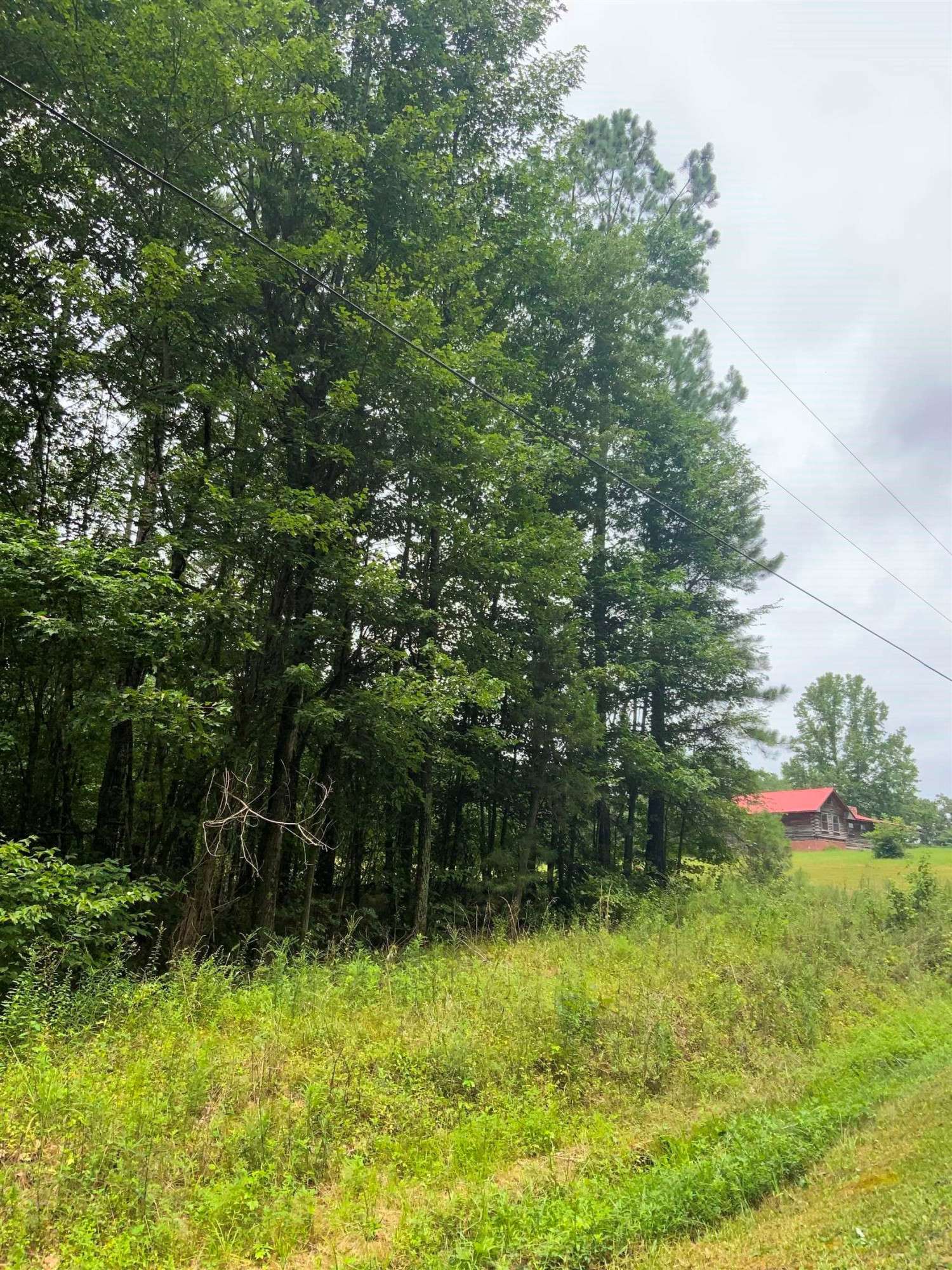 0 Melton RD, Wildersville, TN 38388