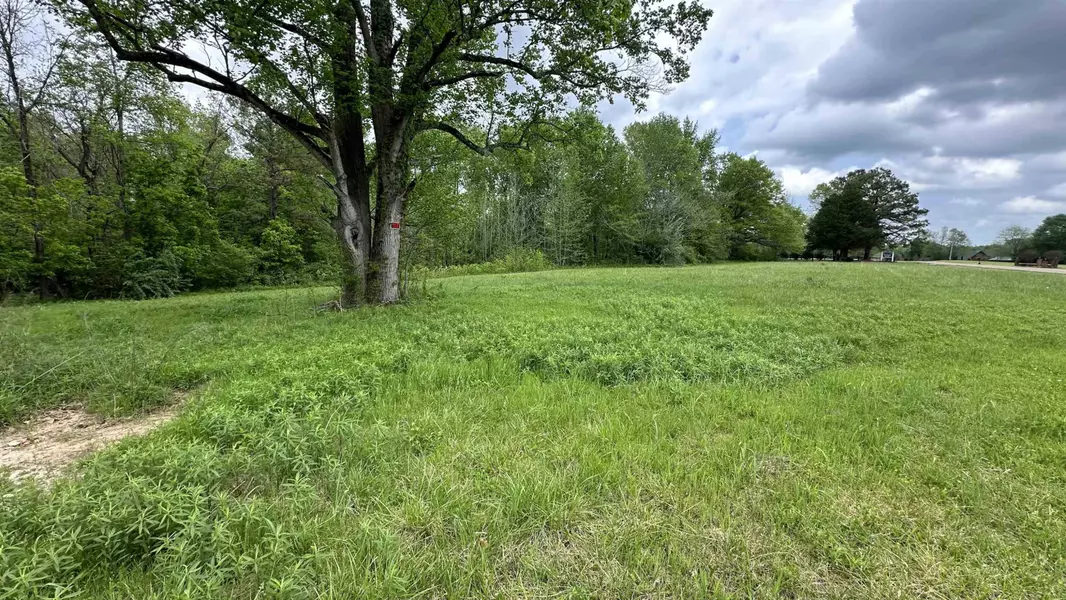 3505 Christmasville Rd Tract 4 RD, Oakfield, TN 38362