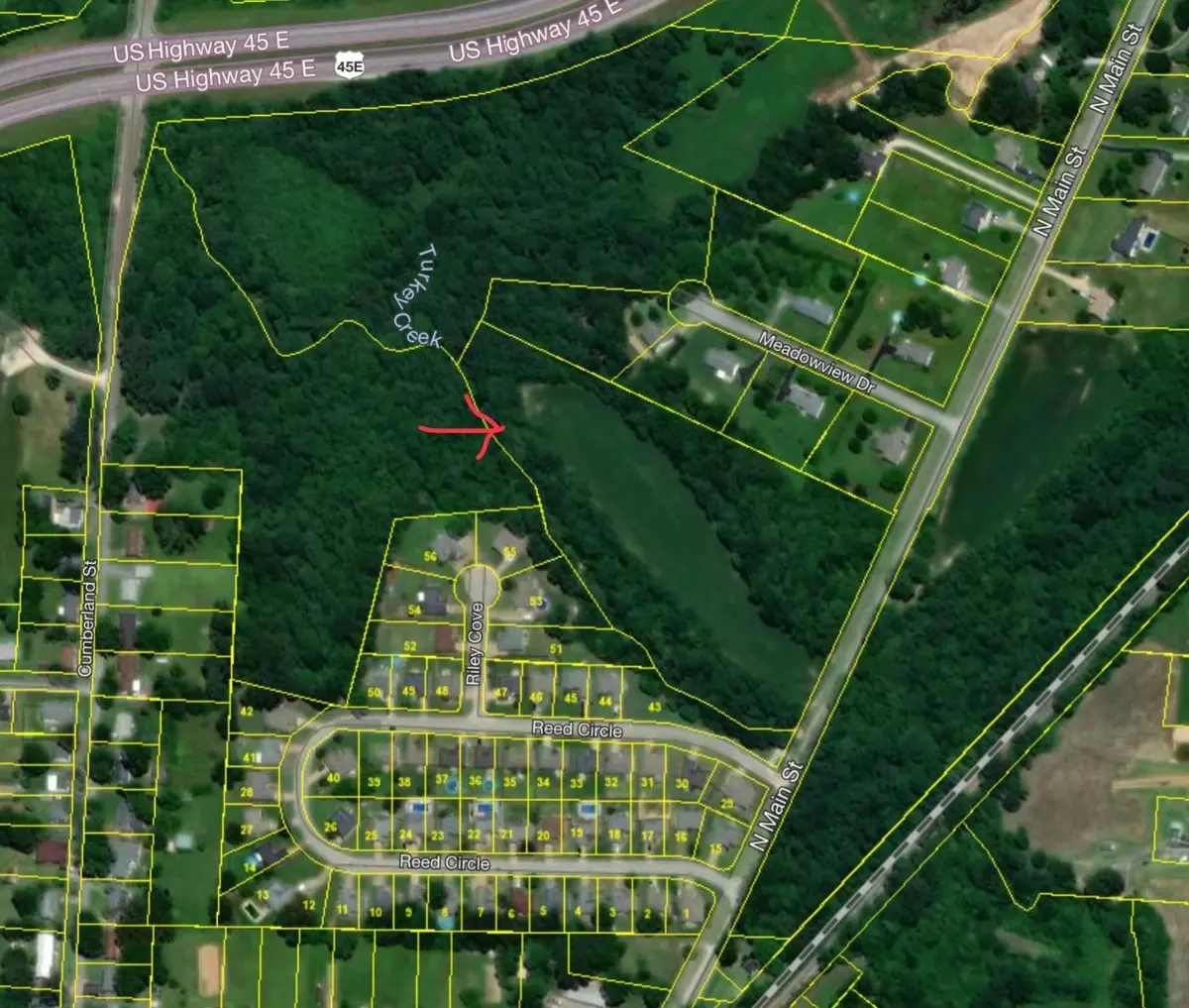 Medina, TN 38355,000 Main ST