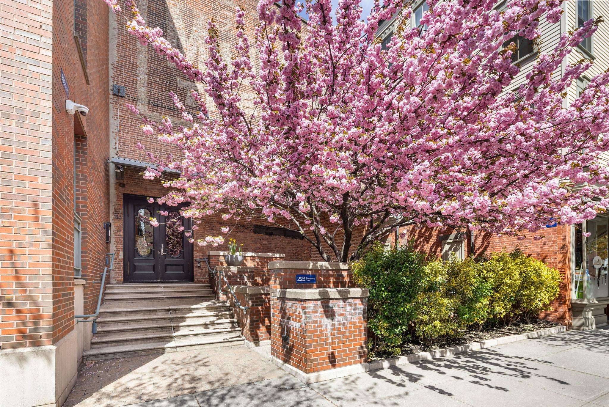 222 MONTGOMERY ST #311, Jc Downtown, NJ 07302