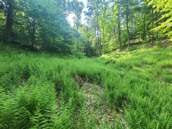 0 NYS 69, Annsville, NY 13471