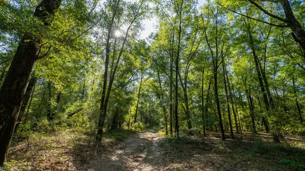 Abbeville, AL 36310,0 Alabama Highway 65