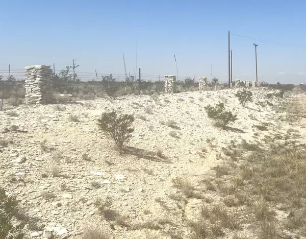 Terlingua/alpine, TX 79830,35 Hwy 118 South #H-135