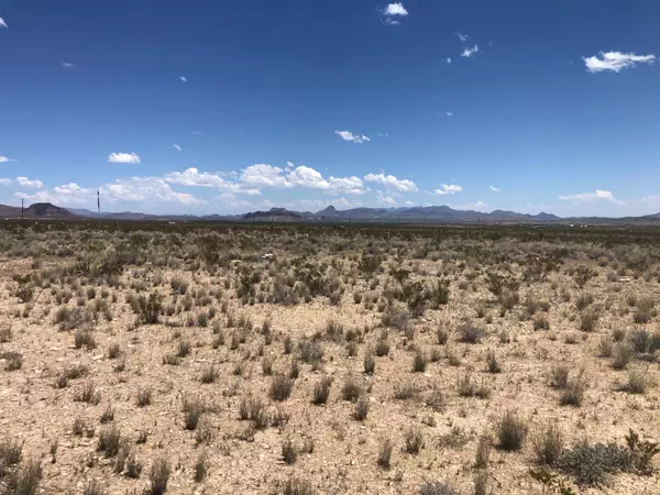 Terlingua/alpine, TX 79830,35 Hwy 118 South #H-135