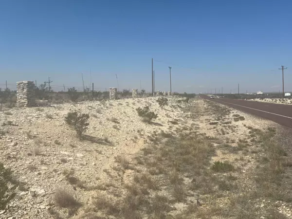 Terlingua/alpine, TX 79830,35 Hwy 118 South #H-135