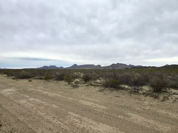 Alpine, TX 79830,601 Starry Night Rd