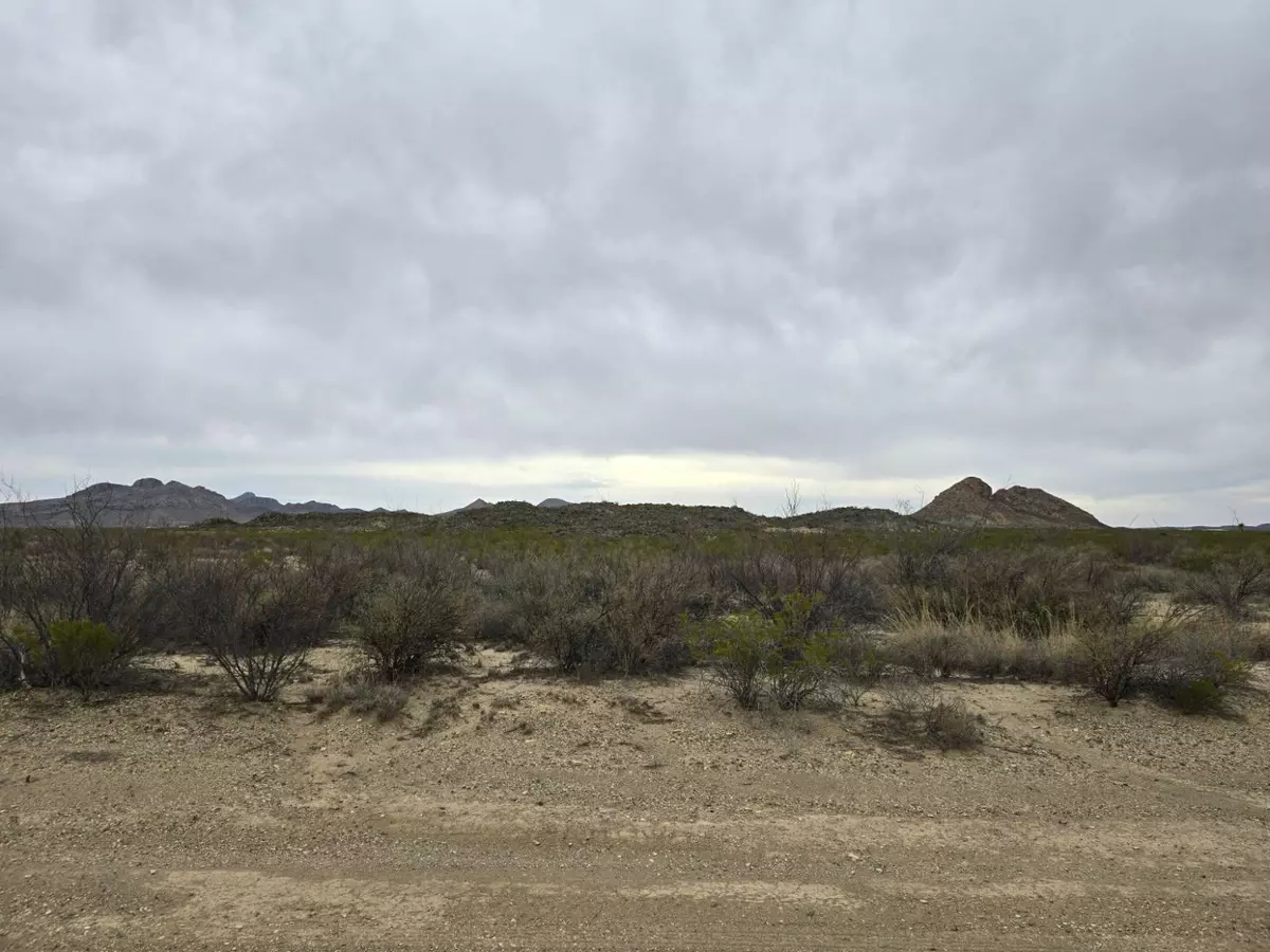 Alpine, TX 79830,601 Starry Night Rd