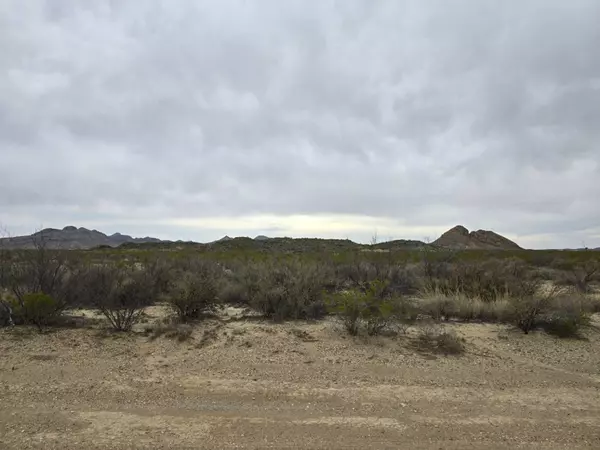 601 Starry Night Rd, Alpine, TX 79830