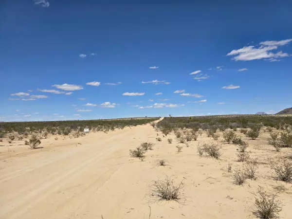 Alpine, TX 79830,1601 South Bad Bunny Run