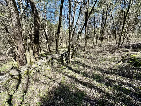 Alexandria, TN 37012,0 53 US