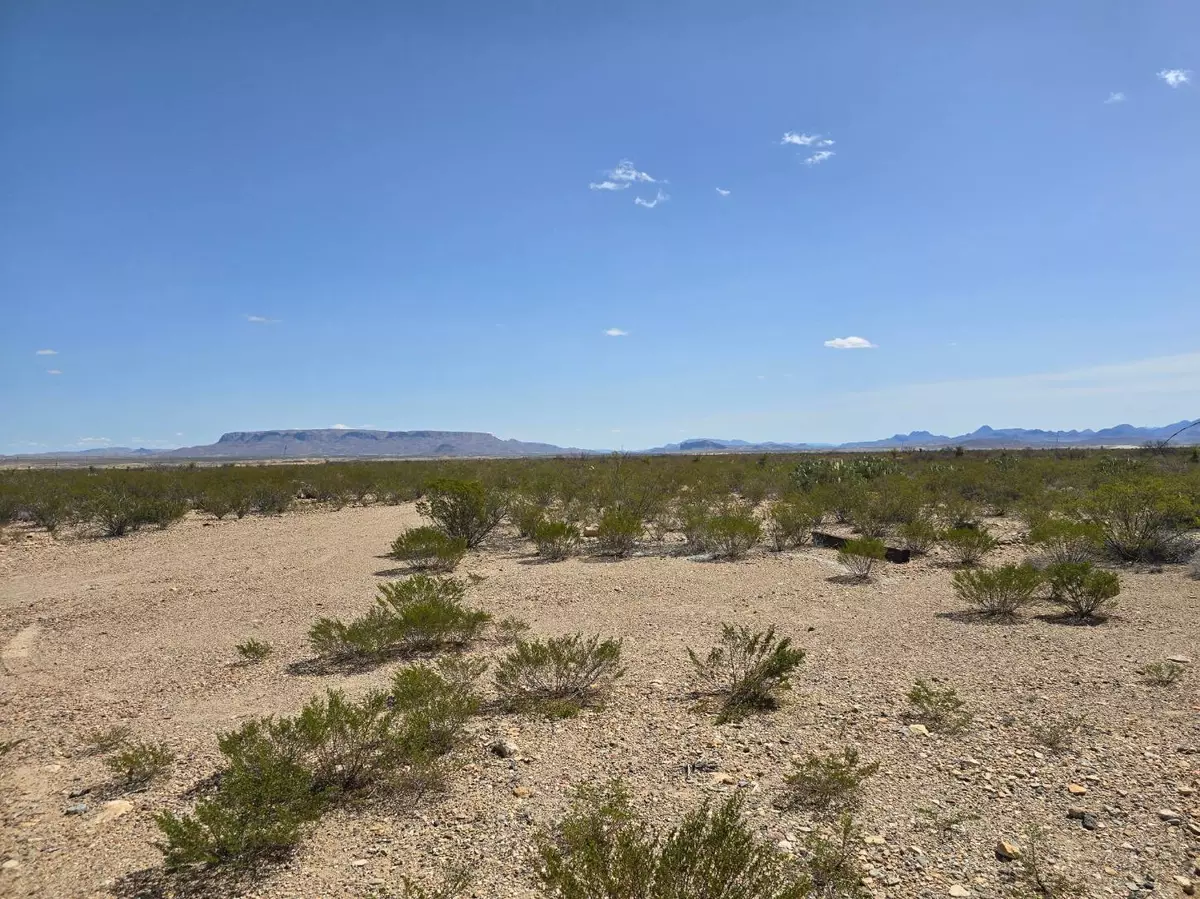 Alpine, TX 79830,98 East Clanton Lake Rd