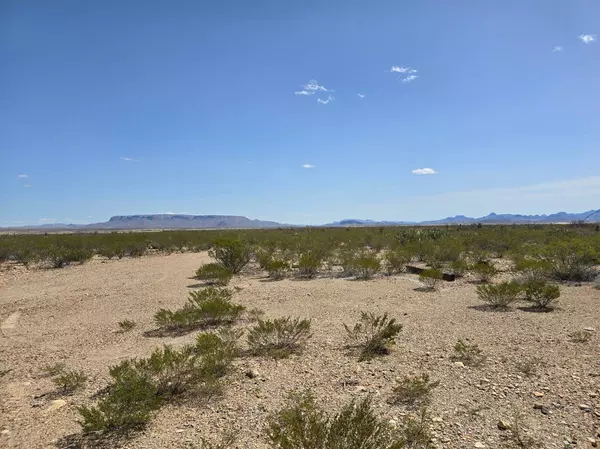 98 East Clanton Lake Rd, Alpine, TX 79830