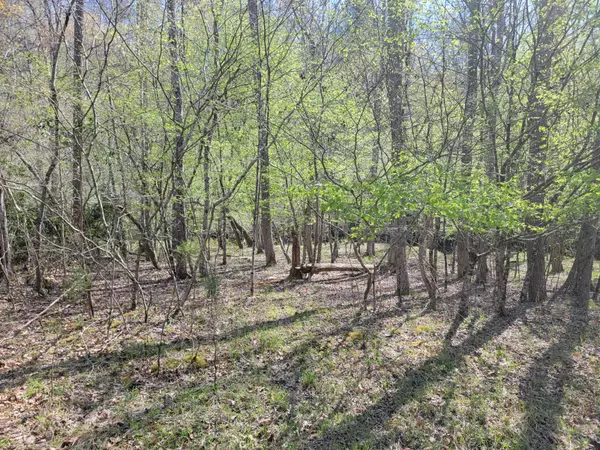 Amherst, VA 24521,TBD Earley Farm Rd