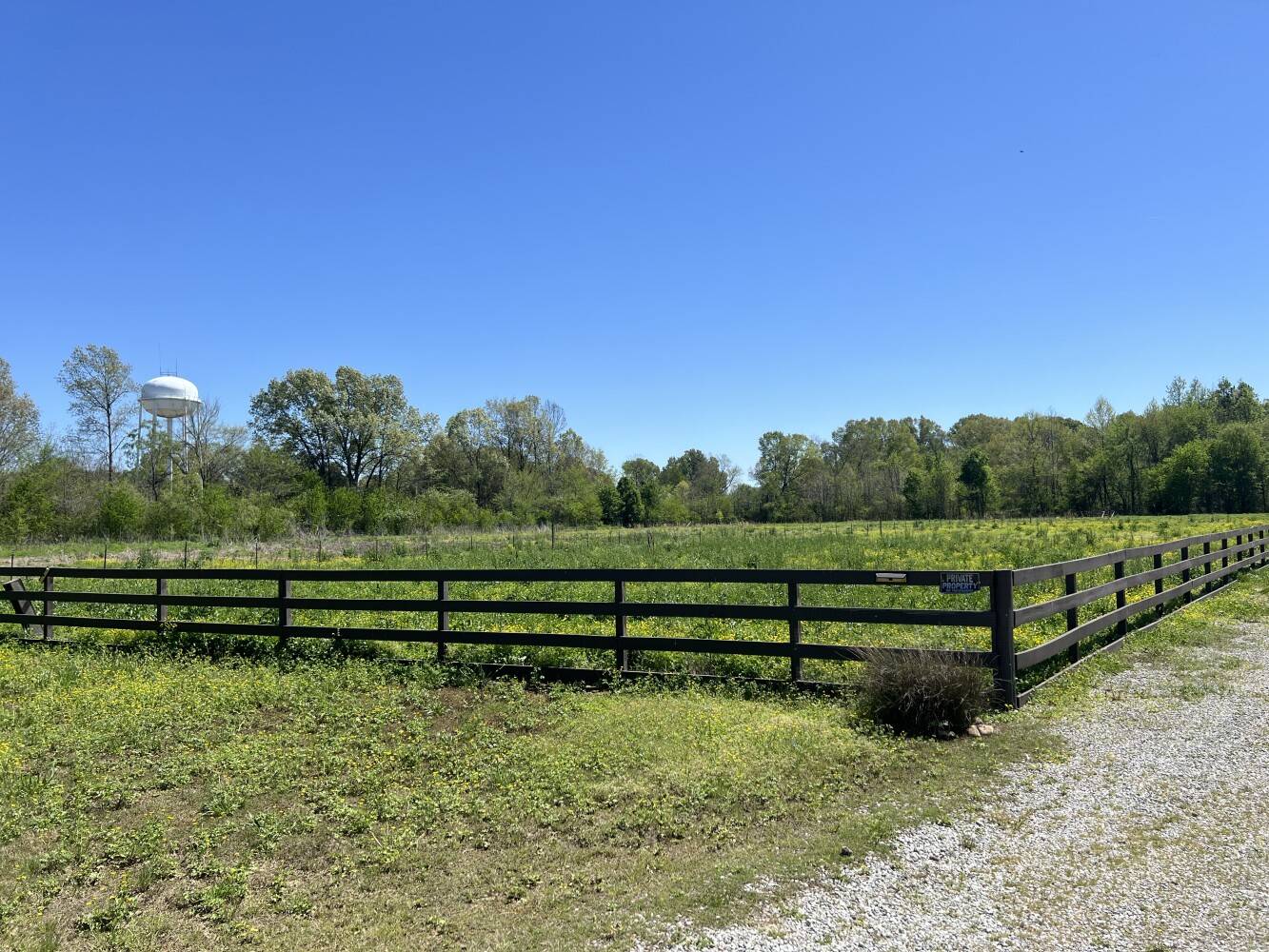 12 Cotton Lane, Stanton, TN 38069