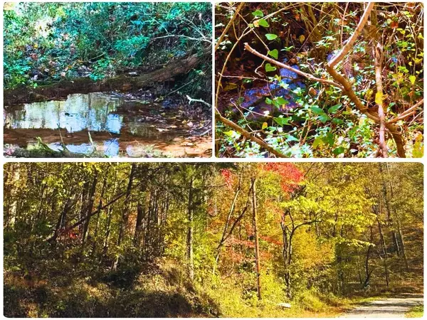 0 Red River Road, Englewood, TN 37329