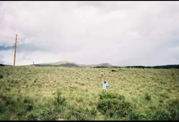 Alma, CO 80420,TBD County Road 6