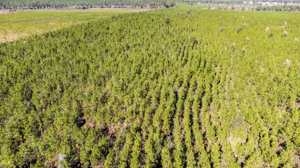 Defuniak Springs, FL 32433,001 Long Road