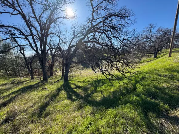 Corning, CA 96021,16495 Hillcrest Road #Lot 1269