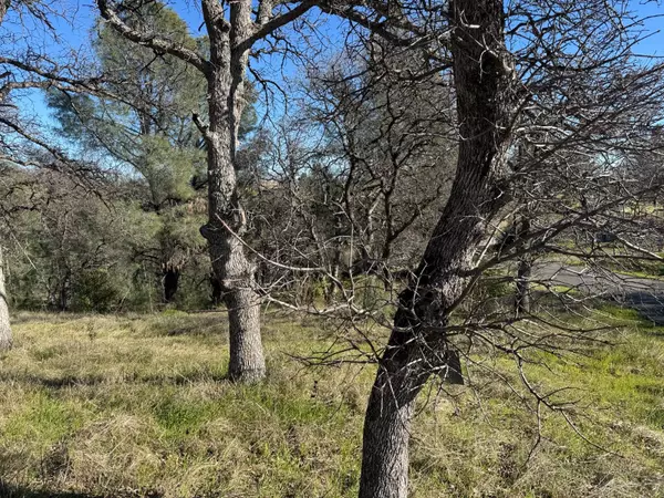 Corning, CA 96021,16380 Hillcrest Rd #Lot 1104