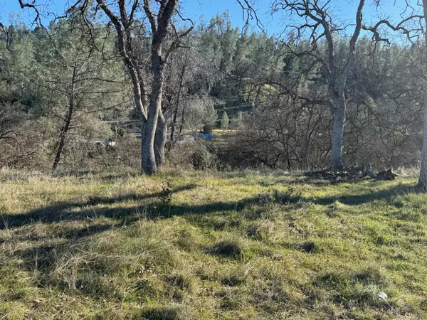 Corning, CA 96021,7198 Amador Ct #455