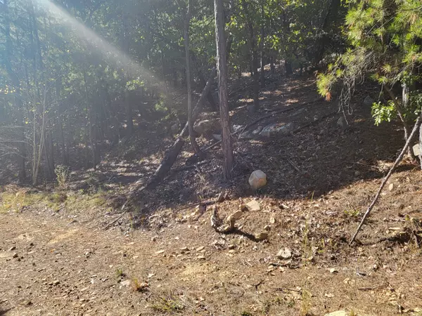 Albion, OK 74521,12.5 Indian Hwy