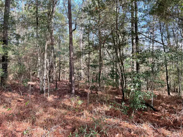 Jackson, AL 36545,555 Whitehead Lane